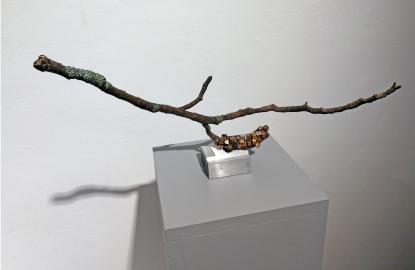 Natura Morta